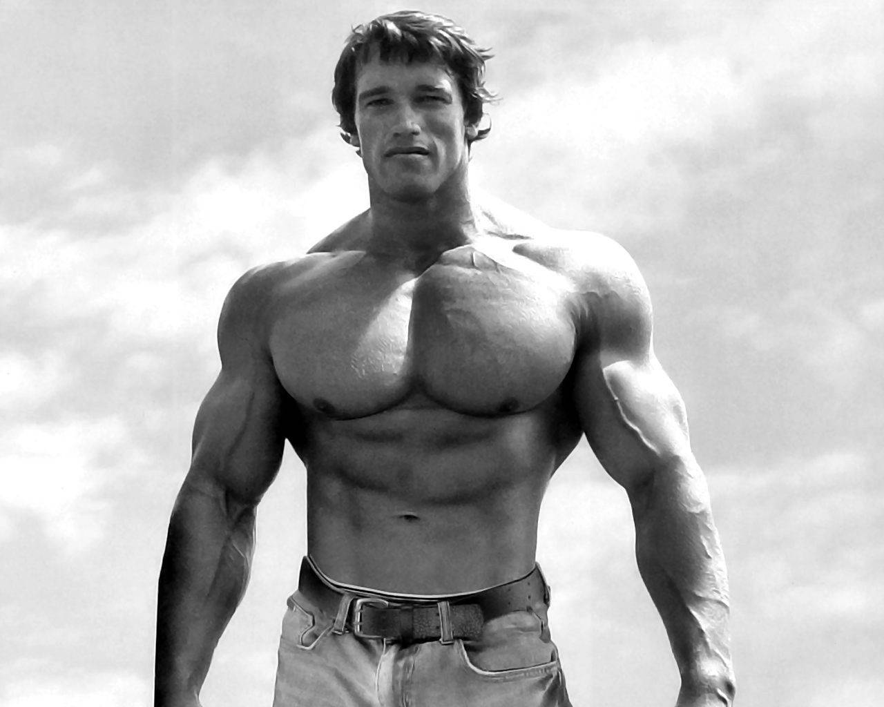 Chest